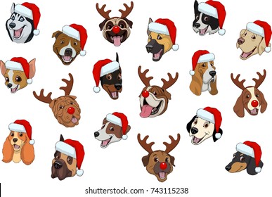 Vector illustration set of funny purebred dogs, for Christmas
