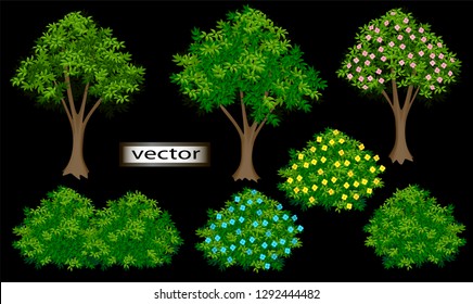 Vector illustration set for garden, green trees and shrubs isolated on black background flowering plants with green leaves