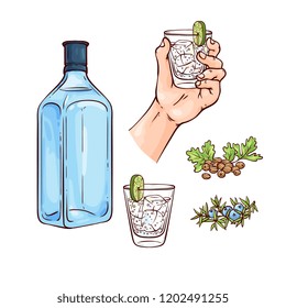 Vector illustration set of gin and tonic cocktail with blue bottle of alcohol drink and mixed beverage in glass with ice cubes and lime slice with ingredients in sketch style isolated on white.