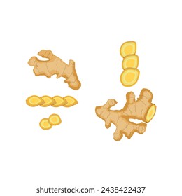 Vector illustration set of ginger root in cartoon flat style. Ginger rootcollection set. Artistic style colorful aromatic. Herbal spice. Detox food ingredient, natural herb plant, whole, sliced