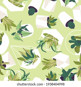 Vector illustration set of glass florariums and concrete pots with plants. Various of succulents, cactuses and tropical leaves. Seamless pattern.