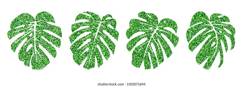 Vector illustration.  Set glitter texture green tropical leaves monstera isolated on white background.