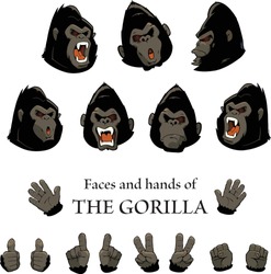 Vector Illustration Set Of Gorillas Faces And Hands On White Background. Personified Gorilla Character.