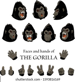 Vector illustration set of Gorillas faces and hands on white background. Personified gorilla character.