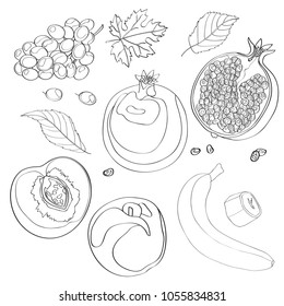 Vector illustration, set. Grapes, pomegranate, half pomegranate, peach, half peach, peach leaves, banana and a piece of banana. Black line, outline.