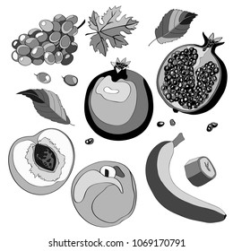 Vector illustration, set. Grapes, grapes, grapes, pomegranate, garnet, half pomegranate, pomegranate, peach, half peach, peach leaves, banana and a piece of banana. Black and white and gray image.
