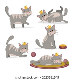 Vector illustration of set of gray cat with crown in different poses. Cute cartoon cats character