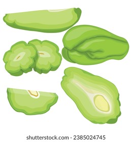 Vector illustration set of green chayote in cartoon flat style. Whole and seliced vegetable organic food. Healthy agricultural product vegetarian. Simple for logo, icon, illustration packing