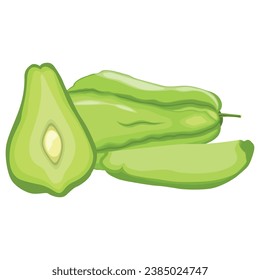 Vector illustration set of green chayote in cartoon flat style. Whole and seliced vegetable organic food. Healthy agricultural product vegetarian. Simple for logo, icon, illustration packing