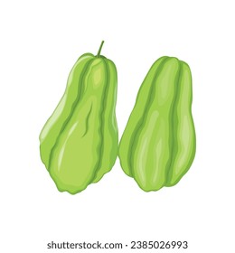 Vector illustration set of green chayote in cartoon flat style. Whole vegetable organic asian food. Healthy agriculture product vegan. Simple logo, icon for packing or restaurant menu