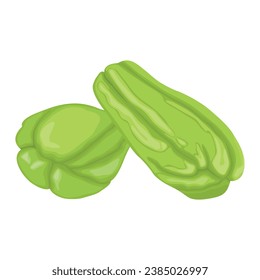 Ilustración vectorial de chayote verde en estilo plano de caricatura. Comida entera orgánica asiática. Producto vegetal saludable. Logo simple, icono de embalaje o menú de restaurante