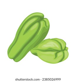Vector illustration set of green chayote in cartoon flat style. Whole vegetable organic asian food. Healthy agriculture product vegan. Simple logo, icon for packing or restaurant menu