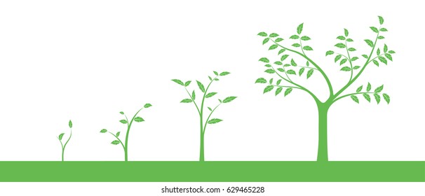 Vector illustration of a set of green icons - plant or tree growth phase, isolated on white background	