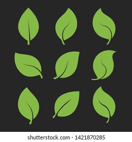 Vector illustration set of green leaves, eco friendly icons