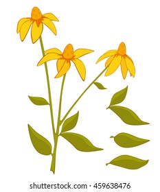 Vector Illustration of a Set of Green Leaves and Flowers