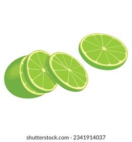 Vector illustration set of green lemon in cartoon style. Fresh healthy lime fruit with leaf hanging in branch.  Whole and sliced parts of green citrus image. Elements lemon image for logo, icon.