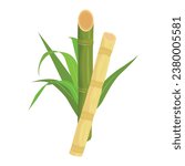 Vector illustration set of green sugarcane cartoon flat style design. Sugarcane plant with stem and leaf. Sugar plant agricultural crops, cane leaf, sugarcane juice vector icons, logo, template pack