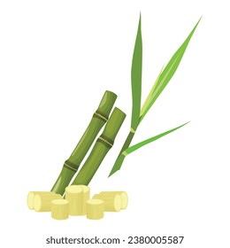 Vector illustration set of green sugarcane cartoon flat style design. Sugarcane plant with stem and leaf. Sugar plant agricultural crops, cane leaf, sugarcane juice vector icons, logo, template pack