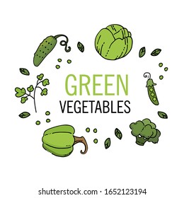Vector illustration. Set of green vegetables in doodle style with color. 