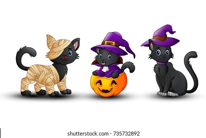 Vector illustration of Set of Halloween black cat with pumpkin