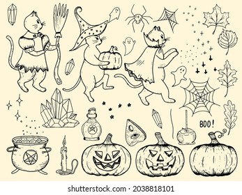 Vector illustration set for Halloween: pumpkins, pumpkin with devilish faces, bodies of a witch, cats in costumes of a witch, vampire, magician, apple in caramel, spider, crystals, leaves, Ouija boar