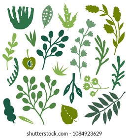 Vector illustration set of hand drawn plants and leaves 