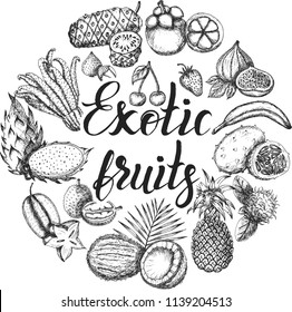 Vector illustration, set of hand drawn exotic fruits with inscription