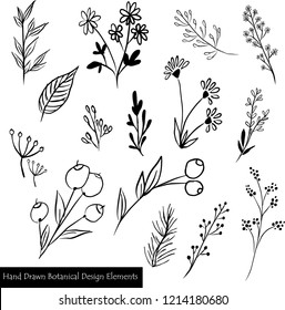 Vector Illustration set of hand drawn black and white botanical elements - isolated flowers, leaves, tree branch. Eps 10