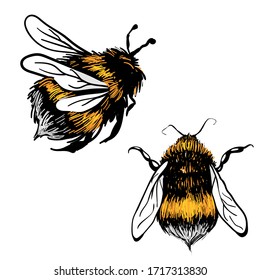 Honey Bee Sketch Images, Stock Photos & Vectors | Shutterstock