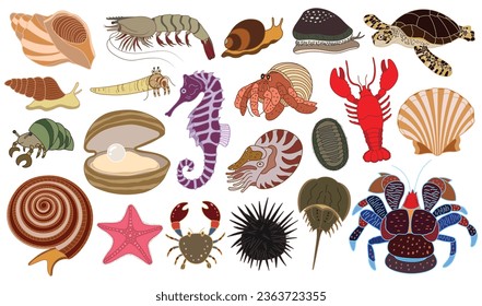 vector illustration set of hand drawn underwater creatures. hermit crab, lobster, seashells, snail, coconut crab, sea turtle, sea star, cowry, chiton, nautilus, horseshoe crab