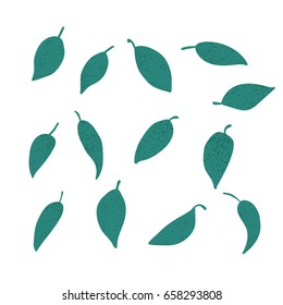 a vector illustration; a set of hand drawn textured leaves in modern trendy style