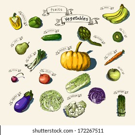  Vector illustration of a set of hand-painted vegetables, fruits