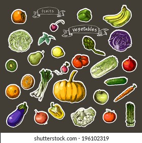 Vector illustration of a set of hand-painted vegetables, fruits