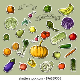 Vector illustration of a set of hand-painted vegetables, fruits