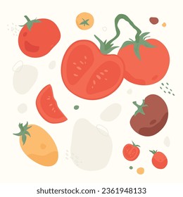 Conjunto de ilustraciones vectoriales. Cosecha tomates aislados. Para tarjetas, revistas, libros, impresiones, etc.