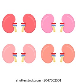 Conjunto de ilustraciones vectoriales de riñón sano, adecuado para la publicidad de productos sanitarios y educativos