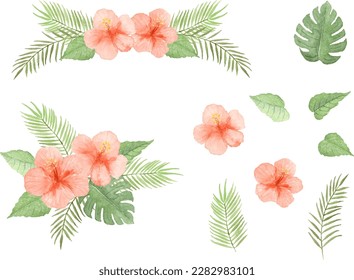 Vector illustration set of hibiscus painted by watercolor