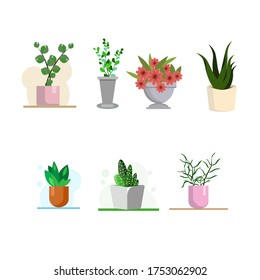 Vector illustration. Set of home plants. Set of flowers in pots of different colors. Isolated elements in flat style to create a design.