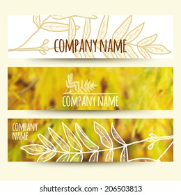 vector illustration. Set of  horizontal autumn banners  with blurred  background and  sketch - rowan leaf