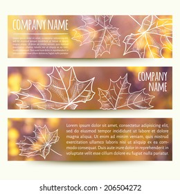 vector illustration. Set of  horizontal autumn banners  with blurred  background and  sketch- maple-leaf