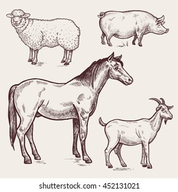 Vector illustration set - horse, sheep, pig, goat. A series of farm animals. Sketch. Vintage engraving style. Design for packaging agricultural products, signage, advertising farm products shops