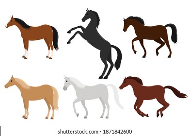 Vector illustration set of horses of different colors.
