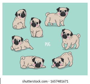 Vector illustration set of house domestic dog (pug) in sitting, laying and standing positions. Flat cartoon vector illustration