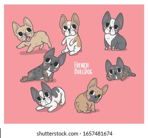 Vector illustration set of house domestic dog (French Bulldog) in sitting, laying and standing positions. Flat cartoon vector illustration