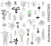 Vector illustration set of house flowers in pots.Linear silhouette isolated on white background.