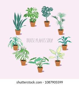 vector illustration set of house flowers in pots, promo banner for flower business