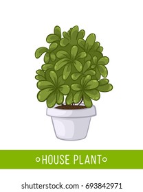 Vector illustration of a set of house plants in pots on a gray grunge background imitating a chalkboard. Stickers