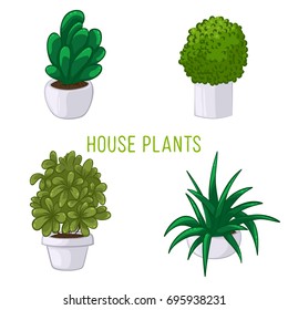 Vector illustration of a set of house plants in pots on white background, stickers