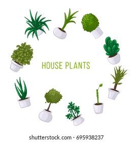 Vector illustration of a set of house plants in pots on white background, stickers, frame