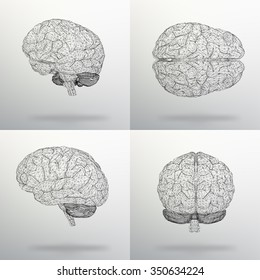 Vector illustration Set human brain. The structural grid of polygons. Abstract Creative concept vector background. Molecular lattice. Polygonal design style letterhead and brochure